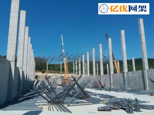 灯塔料棚网架设计